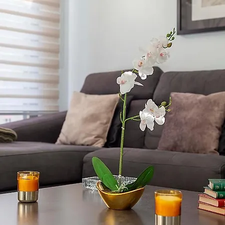 Great Centre Apartment