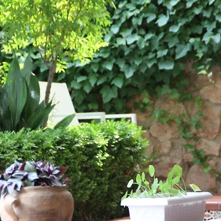 Vakantiehuis El Jardin De La Abuela Granada