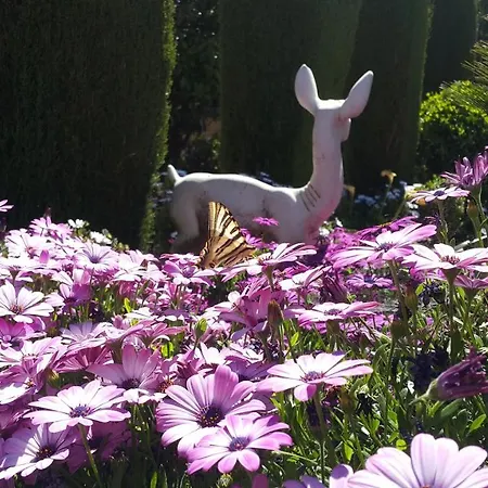 El Jardin De La Abuela