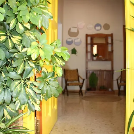 El Jardin De La Abuela * Granada