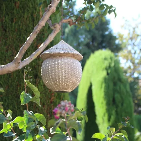 El Jardin De La Abuela *