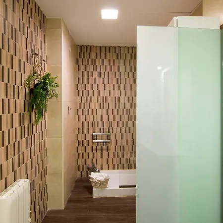 Apartamento Plaza Del Carmen Granada