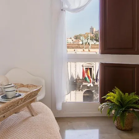 Apartamento Plaza Del Carmen * Granada