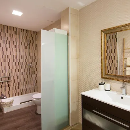 Apartamento Plaza Del Carmen Appartamento Granada