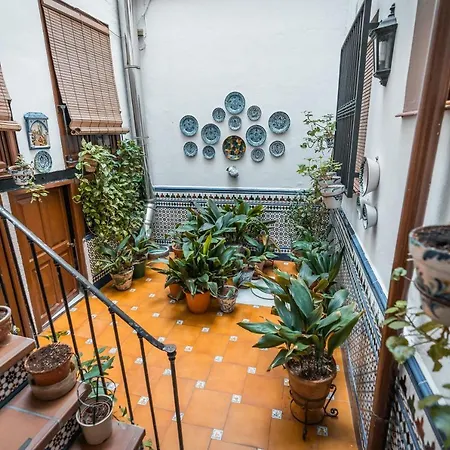 Veronica Centro Granada