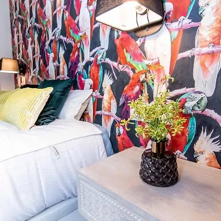 Appart hôtel Elvira 50