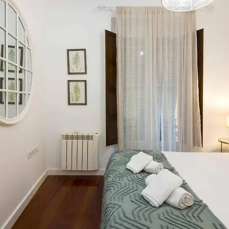 Eco Center Granatensis Catedral 2 Free Parking Διαμέρισμα Γρανάδα