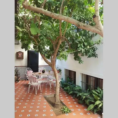 Casa En Con Hermoso Jardin, Parking Calle Hébergement de vacances
