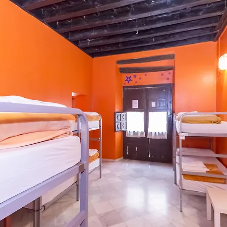 Hostel White Nest