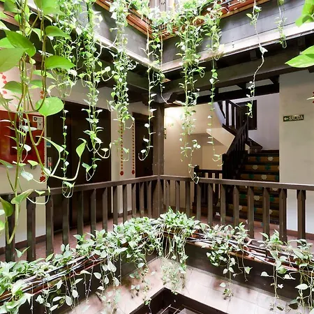 Oasis Backpackers' Hostel