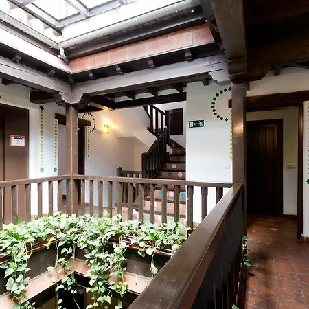 Hostel Oasis Backpackers'