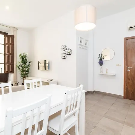Modern Cozy Flat In Granada's Centre 1