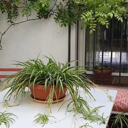 Casa Bambu Granada