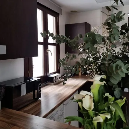 Cozy In The City Center 아파트