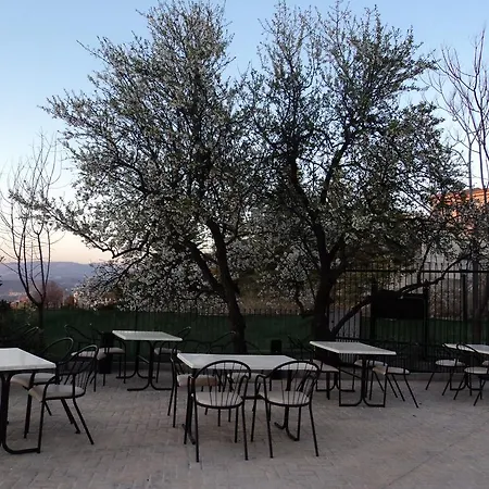 Hotell Encina Centenaria 2*