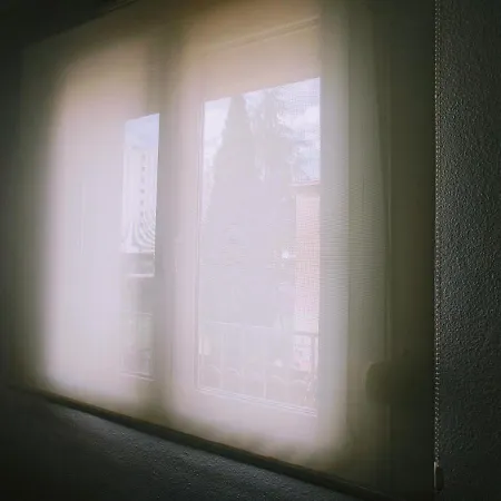 Dario *