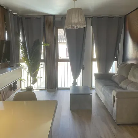 Apartamento Santa Paula Centro Junto Catedral Center Granada