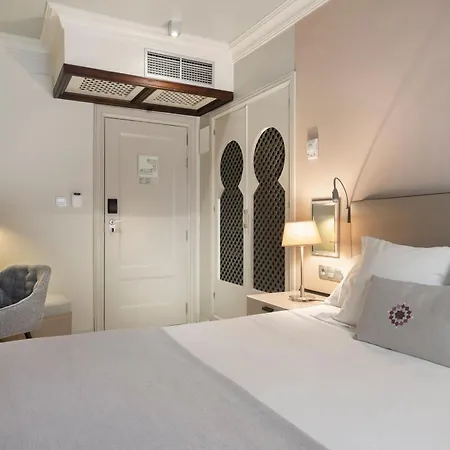 Hotel Vincci Albayzin 4*