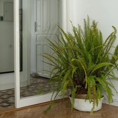 Parking Free, Vintage Haven Appartement Grenade