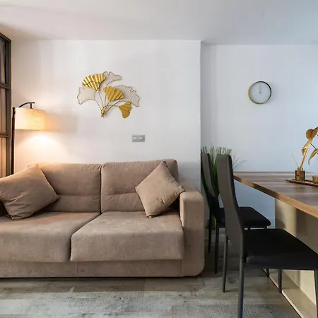 Centro Apartamento Granada