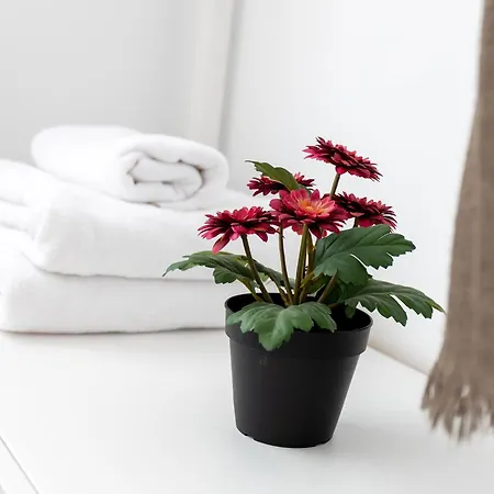 Apartamento Piso Centrico Y Elegante *