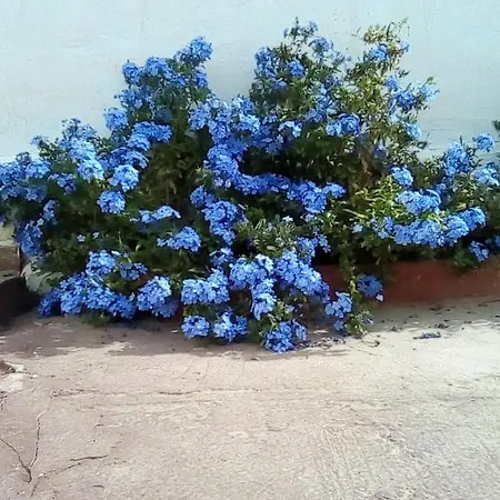 Casita En Altos Del Albaycin Сasa de vacaciones *