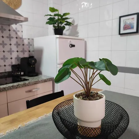 Albaicin A Tus Pies! Apartment *