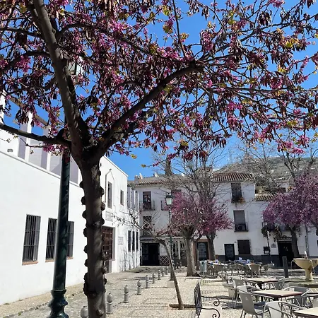 Appart hôtel El Patio Del Albaicin Grenade