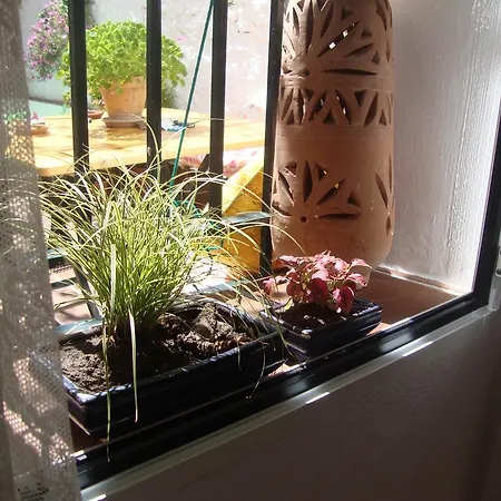 Casa Bambu Lägenhet *