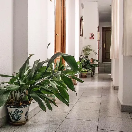 Ciudad Navarro Ramos Pensionat *