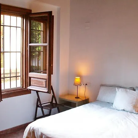 Oasis Backpackers' Hostel