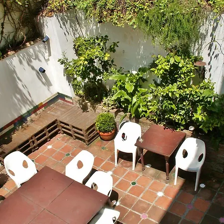 Hostel Oasis Backpackers'