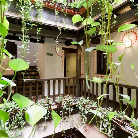 Oasis Backpackers' Hostel