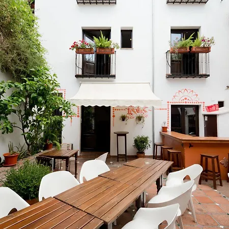 Oasis Backpackers' Hostel