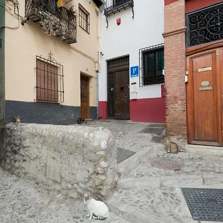 Oasis Backpackers' Granada