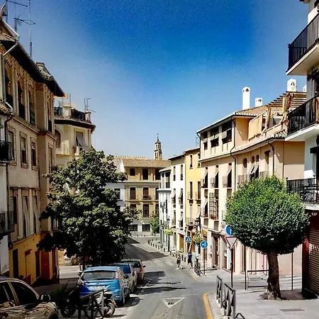 Conde Cecilio Konukevi