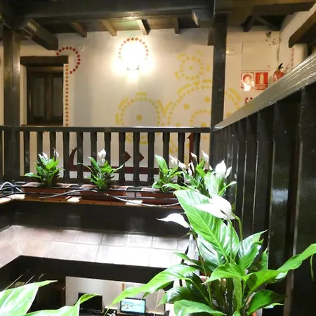 Oasis Backpackers' Hostel *