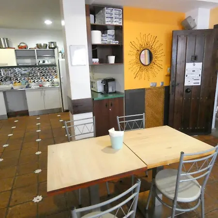 Oasis Backpackers' Hostel
