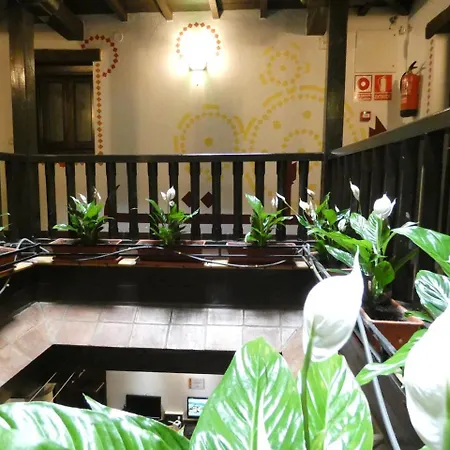 Hostel Oasis Backpackers'