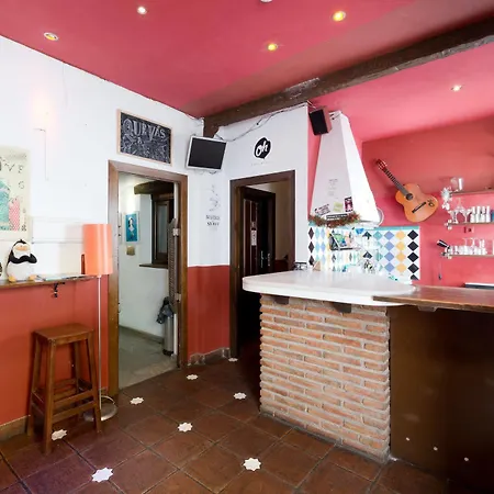 Oasis Backpackers' Hostel