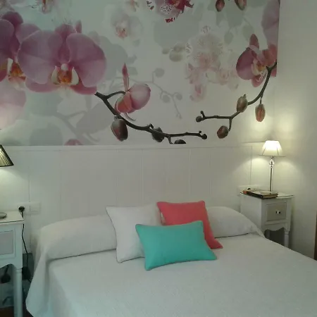 Appartement Catedral Centro Grenade