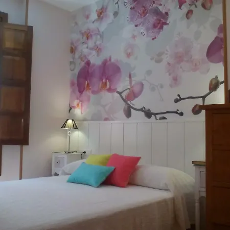 Catedral Centro Appartement