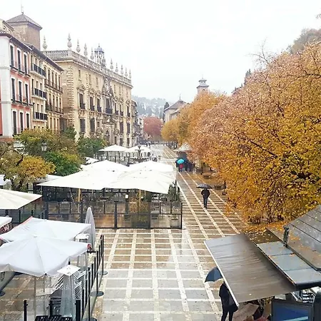 Luxury Plaza Nueva-alhambra *
