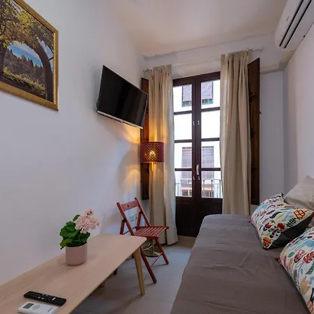 San Matias Alto Centro Apartment Granada
