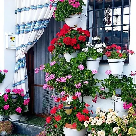 Apartamento Casa Alhambra - Centro Histórico Con Jardín Privado