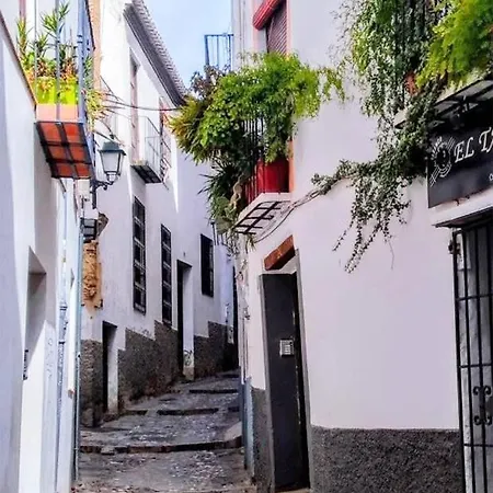 Casa Alhambra - Centro Histórico Con Jardín Privado Granada