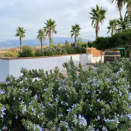 El Edén De Granada Villa Granada