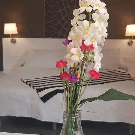 Nest Flats Apartment *