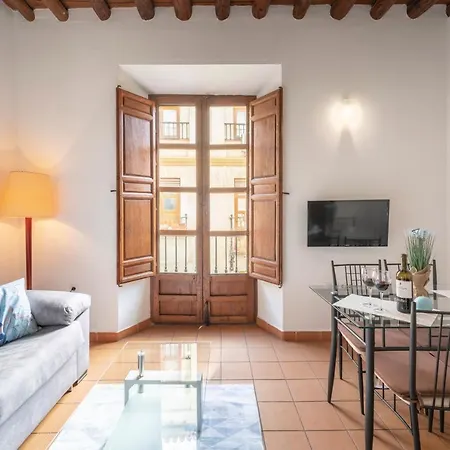 Apartamento Enjoygranada Elvira