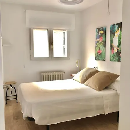 Fleming Centro Apartamento Granada